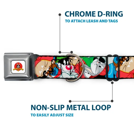 Looney Tunes Logo White Seatbelt Buckle Collar - Looney Tunes 3-B-Boy Stance Character Poses Stacked