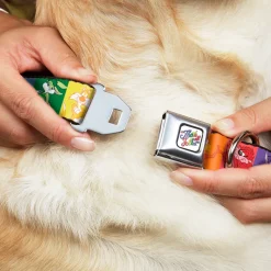 Looney Tunes THAT'S ALL FOLKS Script Full Color White/Multi Color Seatbelt Buckle Collar - Looney Tunes 6-Character Pose Pride Blocks Multi Color