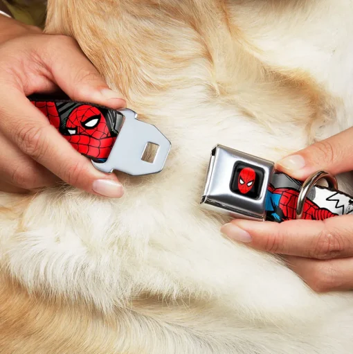 MARVEL UNIVERSE Spider-Man Full Color Seatbelt Buckle Collar - Spider-Man w/Action Verbiage