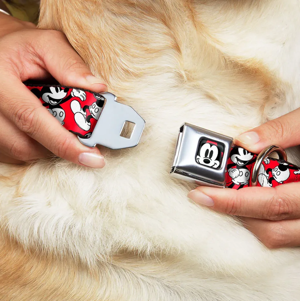 Mickey Mouse Face2 CLOSE-UP Full Color Red Black White Seatbelt Buckle Collar - Mickey Mouse Poses Scattered Red/Black/White