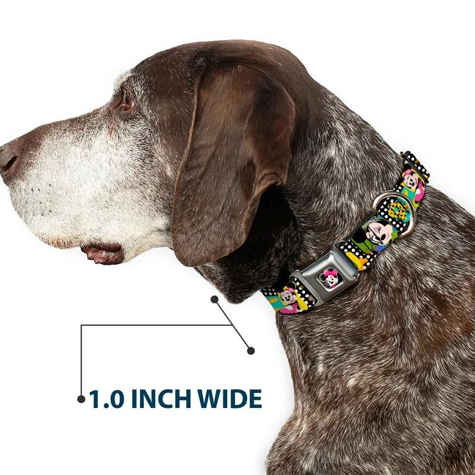 Mini Minnie Mouse Face CLOSE-UP Full Color Black Seatbelt Buckle Collar - Mini Minnie Fashion Poses/Polka Dot Black/White/Multi Color