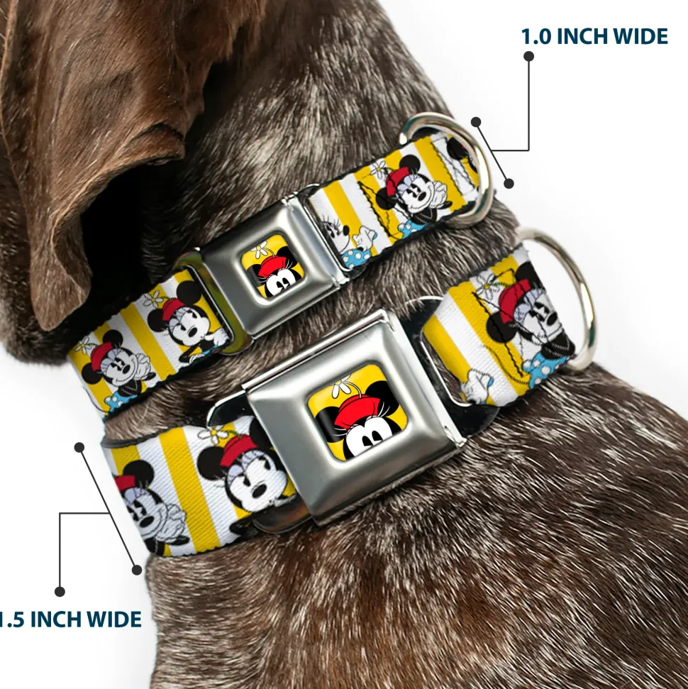 Minnie Mouse w Hat CLOSE-UP Full Color Yellow Seatbelt Buckle Collar - Minnie Mouse w/Hat Poses Stripe Yellow/White