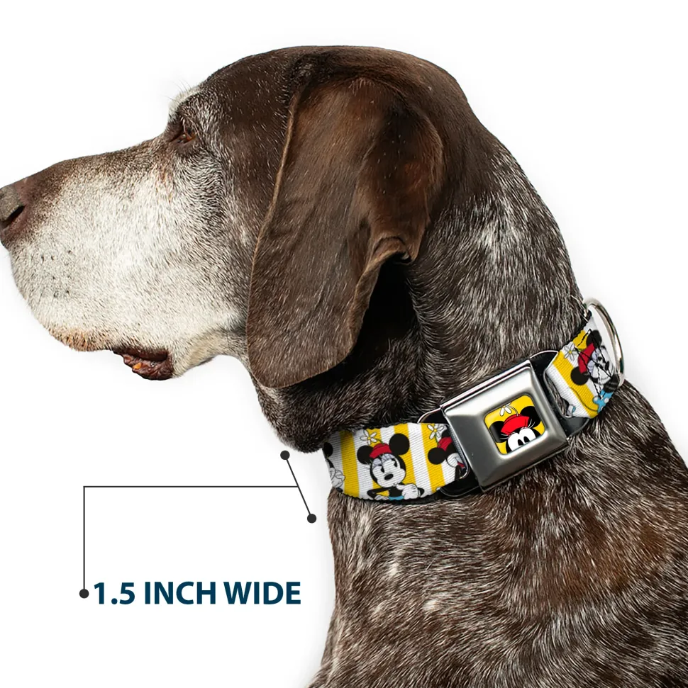 Minnie Mouse w Hat CLOSE-UP Full Color Yellow Seatbelt Buckle Collar - Minnie Mouse w/Hat Poses Stripe Yellow/White