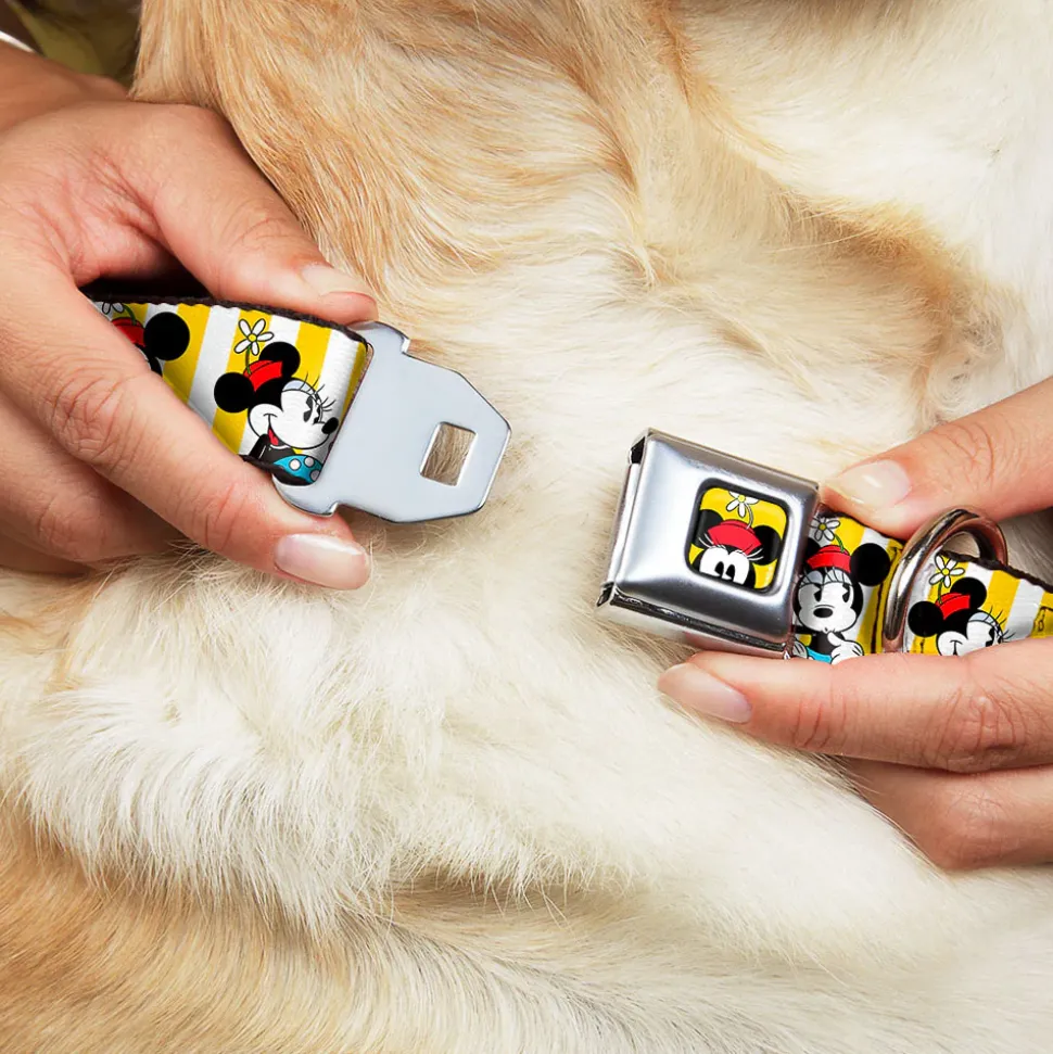 Minnie Mouse w Hat CLOSE-UP Full Color Yellow Seatbelt Buckle Collar - Minnie Mouse w/Hat Poses Stripe Yellow/White