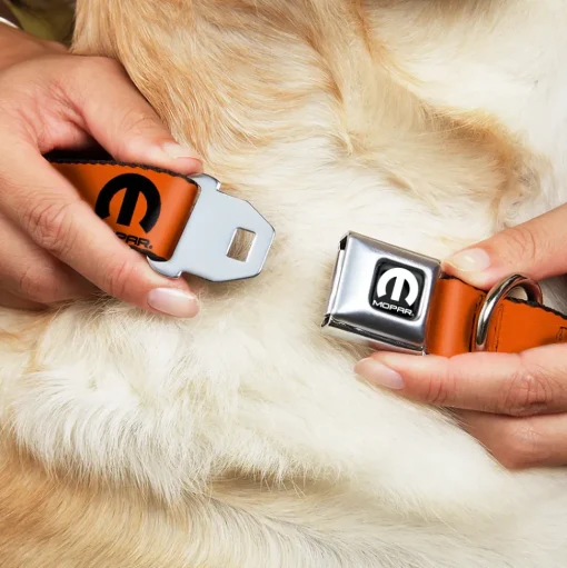 MOPAR Logo Full Color Black/White Seatbelt Buckle Collar - MOPAR Logo Repeat Orange/Black