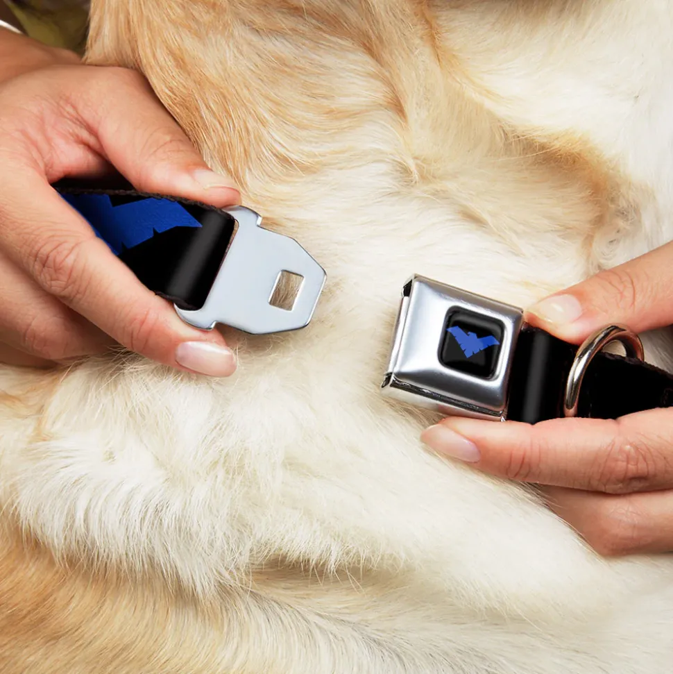 Nightwing Logo Full Color Black Blue Seatbelt Buckle Collar - Nightwing Logo Black/Blue