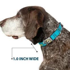 Olaf Face Frozen Sun Full Color Seatbelt Buckle Collar - Olaf Pose I LOVE WARM HUGS Stripe Blues