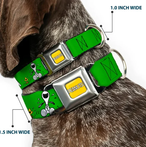 PEANUTS Title Logo Full Color Yellow/White Seatbelt Buckle Collar - Peanuts Snoopy and Woodstock Laughing HAHA Pose Green