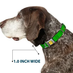 PEANUTS Title Logo Full Color Yellow/White Seatbelt Buckle Collar - Peanuts Snoopy and Woodstock Laughing HAHA Pose Green