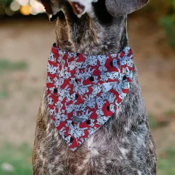 Pet Bandana - 101 Dalmatians Puppies Scattered Red