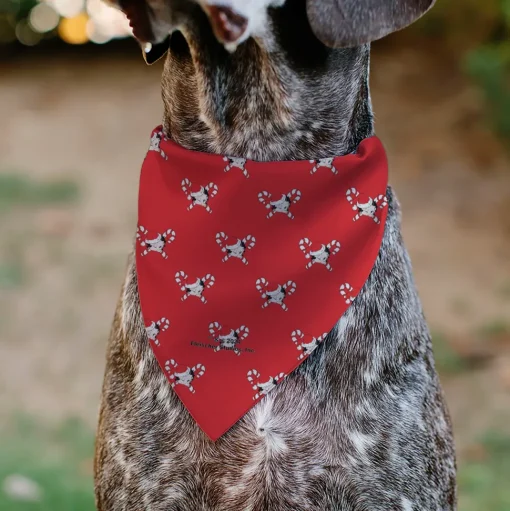 Pet Bandana - Bandana BETTY BOOP Holiday Gift Pose and Santa Betty Winking Icon Red