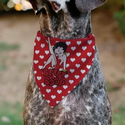 Pet Bandana - Bandana BETTY BOOP Seated Leg Kick Pose and Text Hearts Red/White