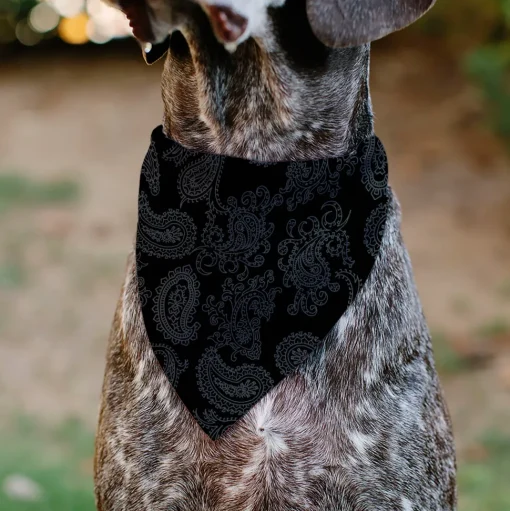 Pet Bandana - Bandana Black/Gray