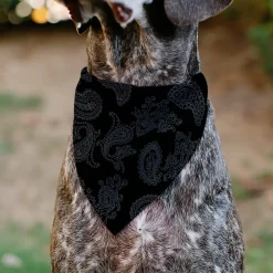 Pet Bandana - Bandana Black/Gray