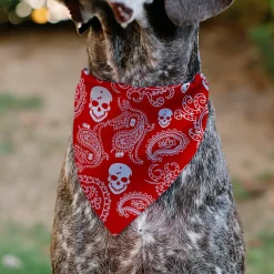 Pet Bandana - Bandana/Skulls Red/White