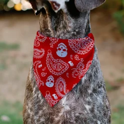 Pet Bandana - Bandana/Skulls Red/White