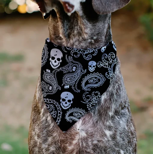 Pet Bandana - Bandana/Skulls Black/White