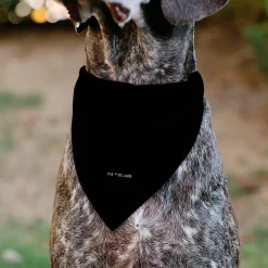 Pet Bandana - Batman Shield Logo Black/Yellow