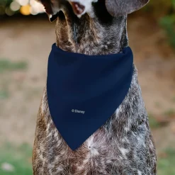 Pet Bandana - BEAUTY & THE BEAST Belle and Beast Dancing Pose Blue/Multi Color