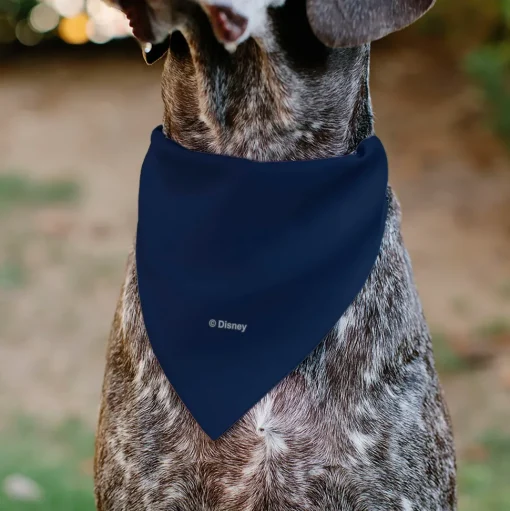 Pet Bandana - BEAUTY & THE BEAST Belle and Beast Dancing Pose Blue/Multi Color