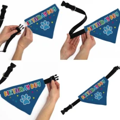 Pet Bandana - BIRTHDAY BOY Text Paw and Confetti Blue/Multi Color