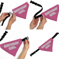 Pet Bandana - BIRTHDAY GIRL Text Pinks/White