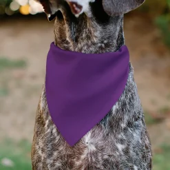 Pet Bandana - BIRTHDAY GIRL Text Purples/White