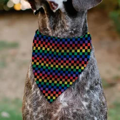 Pet Bandana - Checker Black/Rainbow Multi Color