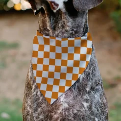 Pet Bandana - Checker White/TN Orange