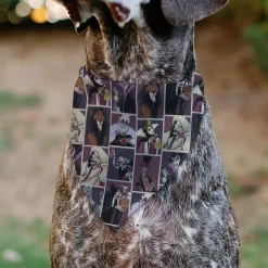 Pet Bandana - Disney Villains Pose Blocks