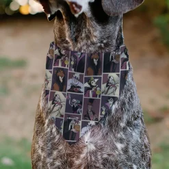 Pet Bandana - Disney Villains Pose Blocks
