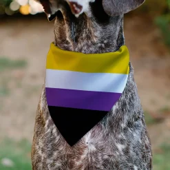Pet Bandana - Flag Non-Binary Stripe