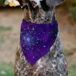 Pet Bandana - Galaxy Blues/Purples