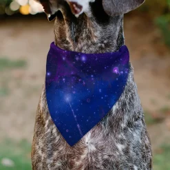 Pet Bandana - Galaxy Blues/Purples
