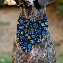 Pet Bandana - Hanukkah Holiday Symbols Black/Blues/Yellow