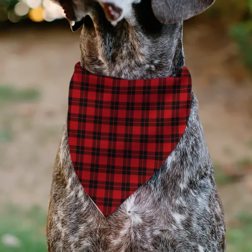 Pet Bandana - Holiday Pajama Plaid Red/Black