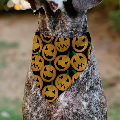 Pet Bandana - Jack-o'-Lantern Collage Black