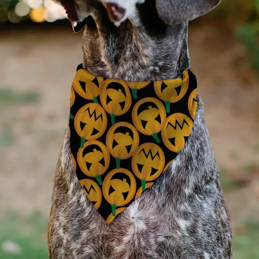 Pet Bandana - Jack-o'-Lantern Collage Black