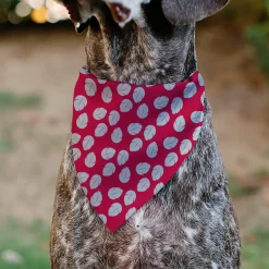 Pet Bandana - Lilo Dress Leaves & Stitch Sitting Pose Red/White