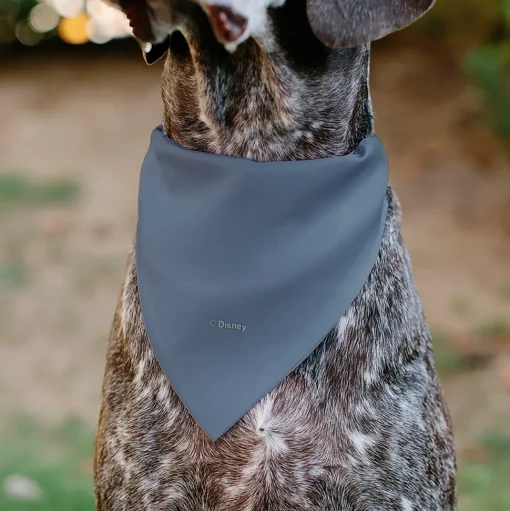 Pet Bandana - Lion King No Worries Silhouette Reflection Pose Blues/Pinks/Yellow