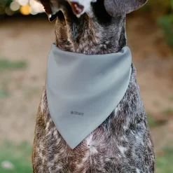 Pet Bandana - Mickey Mouse STAY POSITIVE Line White/Multi Color