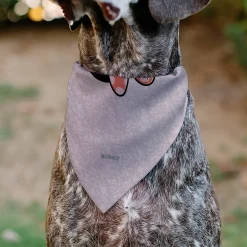 Pet Bandana - Minnie Mouse BE KIND Peace Pose Pinks