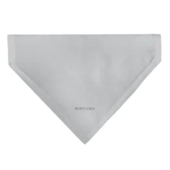 Pet Bandana - Peanuts Gang Floating Astronauts Group Pose Gray