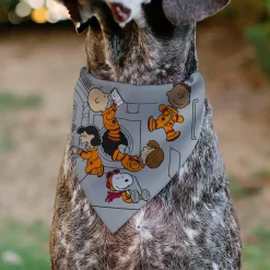 Pet Bandana - Peanuts Gang Floating Astronauts Group Pose Gray
