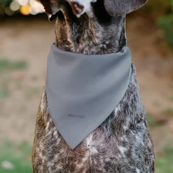 Pet Bandana - Peanuts Gang Floating Astronauts Group Pose Gray