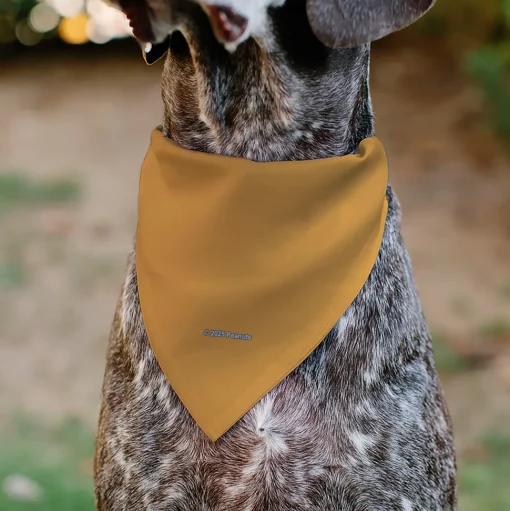 Pet Bandana - Peanuts Marcie Smiling Face Pose Yellow