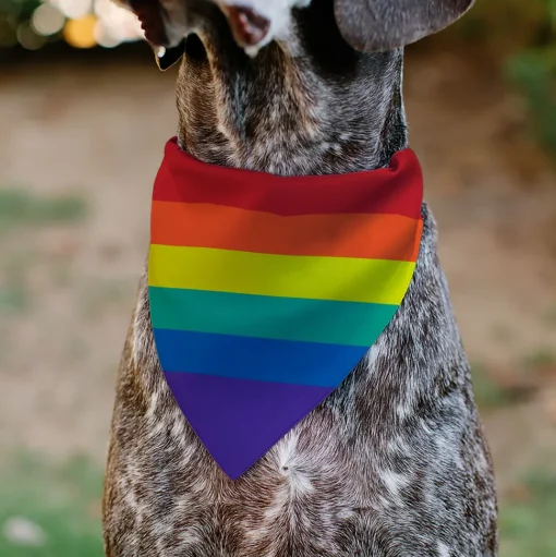 Pet Bandana - Rainbow Print