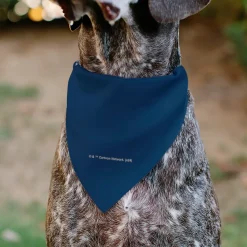 Pet Bandana - Rick and Morty Arms Crossed Pose Blue