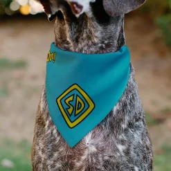 Pet Bandana - Scooby Doo Logo Centered and Collage Blue/Yellow