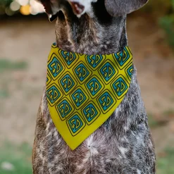 Pet Bandana - Scooby Doo Logo Centered and Collage Blue/Yellow